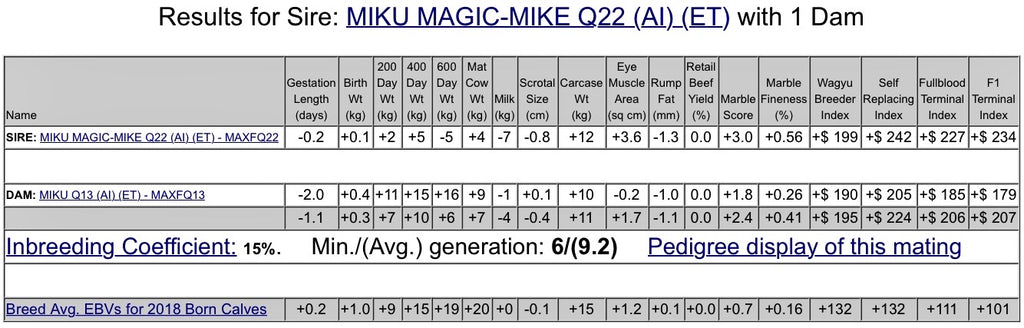 Magic-Mike Q22 + MAXFQ13
