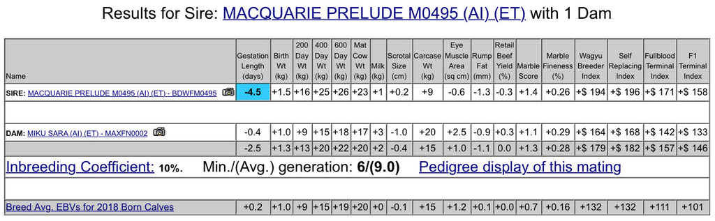 Macquarie Prelude + MAXFN0002