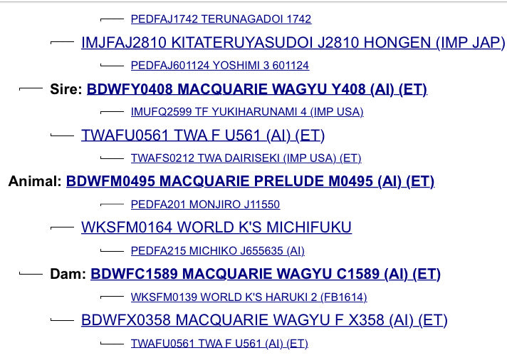 Macquarie Prelude + MAXFN0002